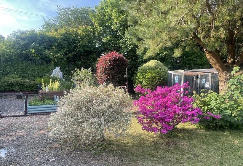 Lovely Shepherds Hut In Cornwall