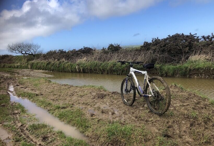 Lovely Shepherds Hut In Cornwall