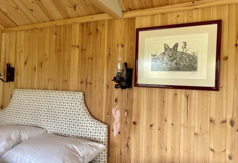 Lovely Shepherds Hut In Cornwall