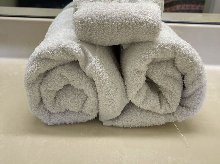 汽车旅馆  Covered Bridge Inn & Suites