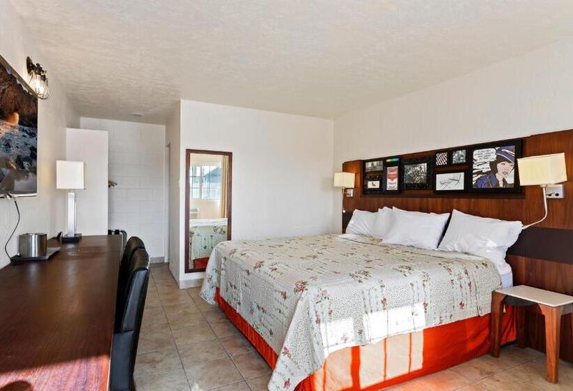 汽车旅馆  Temple View Inn