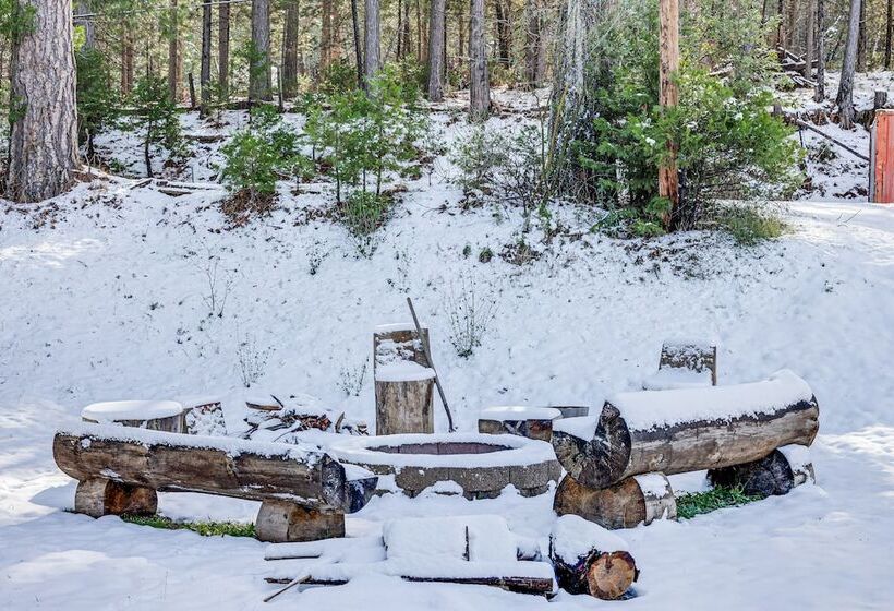 Secluded Cabin Near Calaveras Big Trees State Park