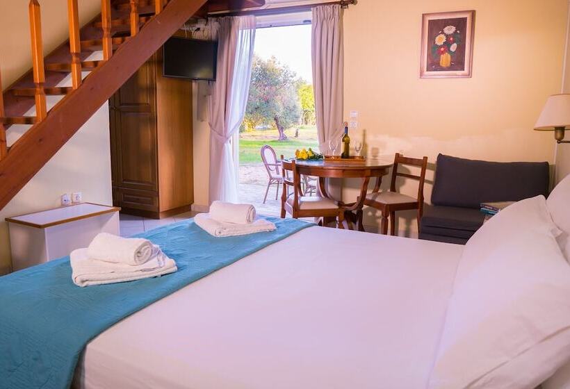 Olive Trees Garden Lixouri