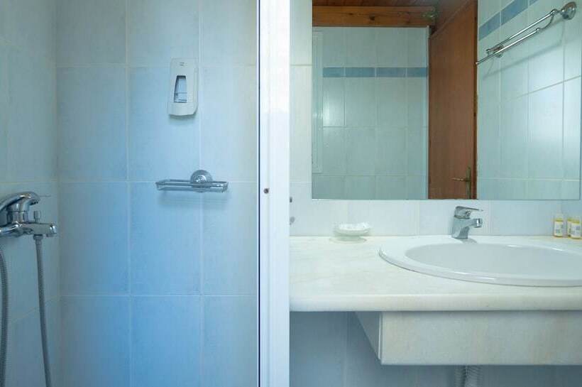 Olive Trees Garden Lixouri