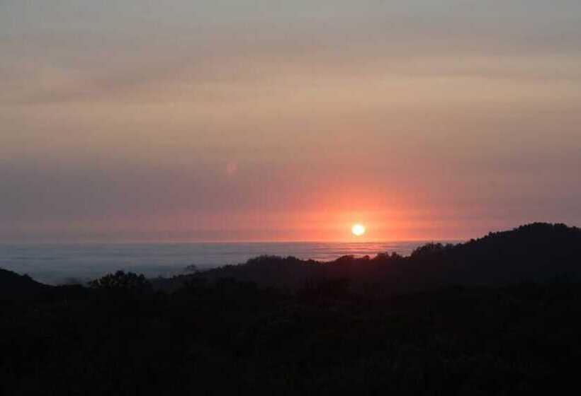 Pacific Coast Redwoods Cabin For Family
