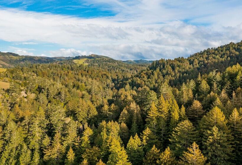 Pacific Coast Redwoods Cabin For Family