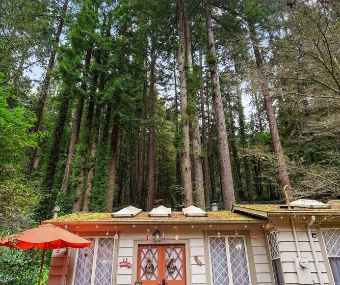 Pacific Coast Redwoods Cabin For Family