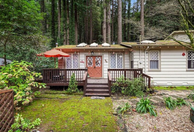 Pacific Coast Redwoods Cabin For Family
