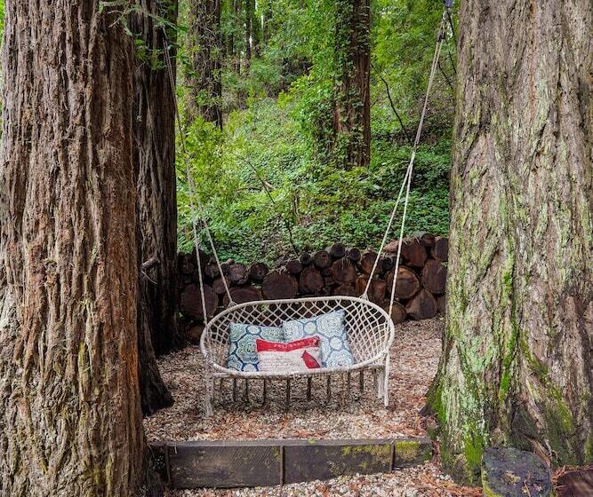 Pacific Coast Redwoods Cabin For Family