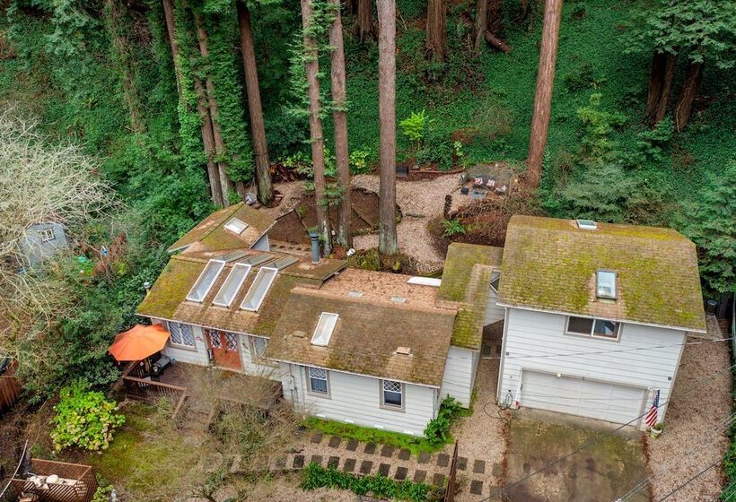 Pacific Coast Redwoods Cabin For Family
