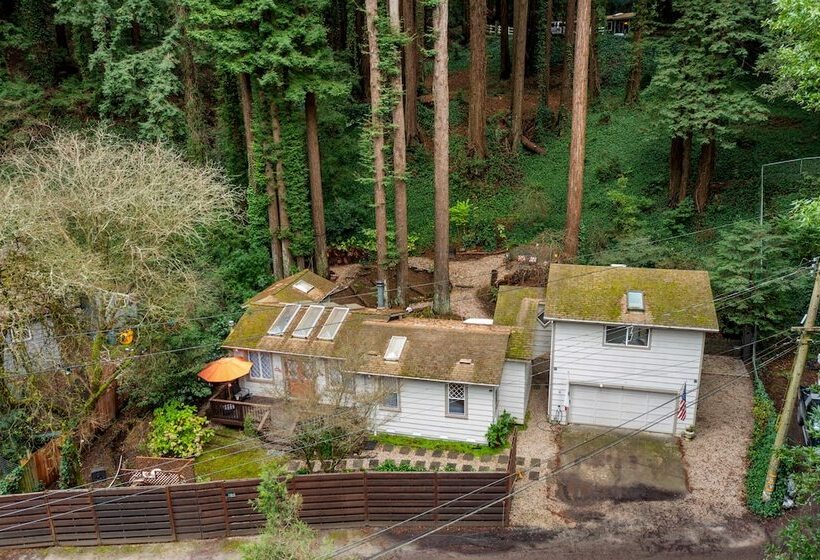 Pacific Coast Redwoods Cabin For Family