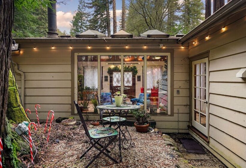 Pacific Coast Redwoods Cabin For Family