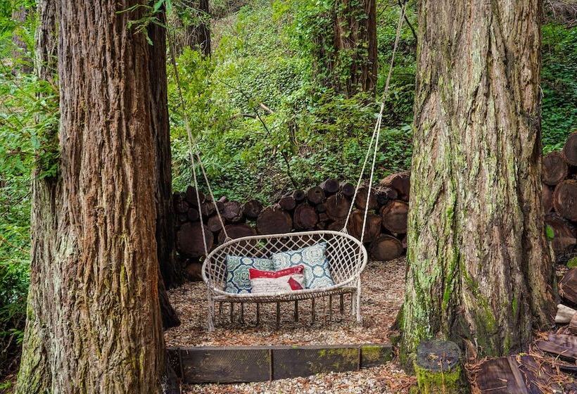 Pacific Coast Redwoods Cabin For Family