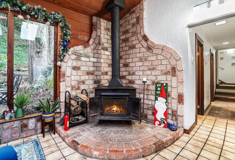 Pacific Coast Redwoods Cabin For Family