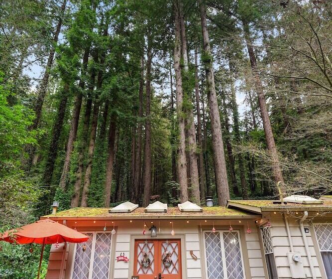 Pacific Coast Redwoods Cabin For Family