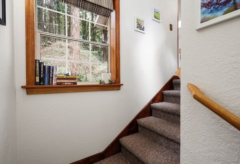 Pacific Coast Redwoods Cabin For Family