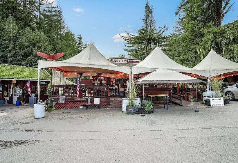Pacific Coast Redwoods Cabin For Family