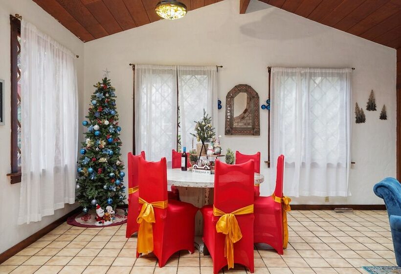 Pacific Coast Redwoods Cabin For Family