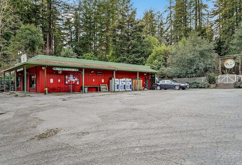 Pacific Coast Redwoods Cabin For Family