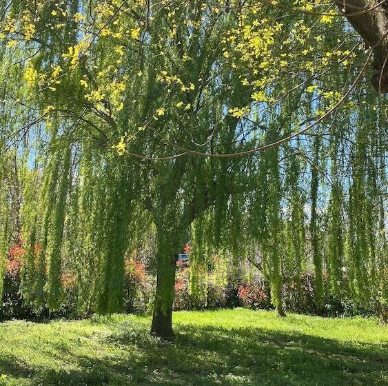 膳宿费 Affittacamere Ca De Mazapedar