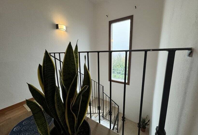 膳宿费 Affittacamere Ca De Mazapedar