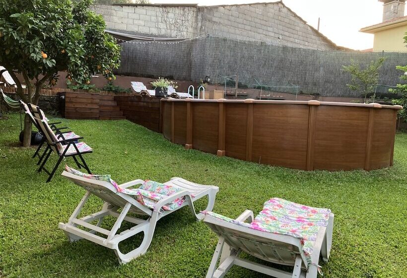 بنسيون Bergui Guesthouse