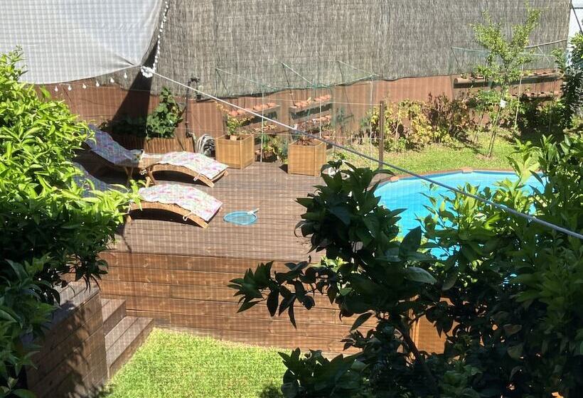 بنسيون Bergui Guesthouse