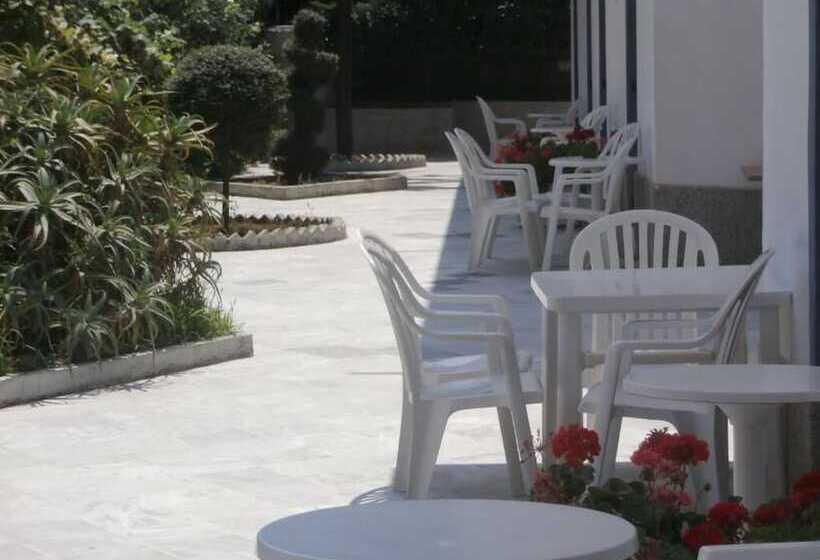 بنسيون Harry's Bar & Apartments