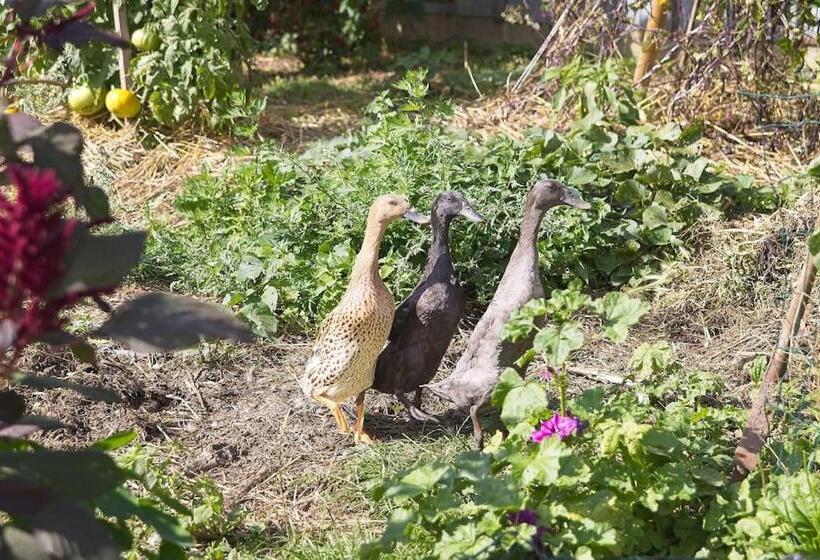 פנסיון La Ferme Du Tilleul