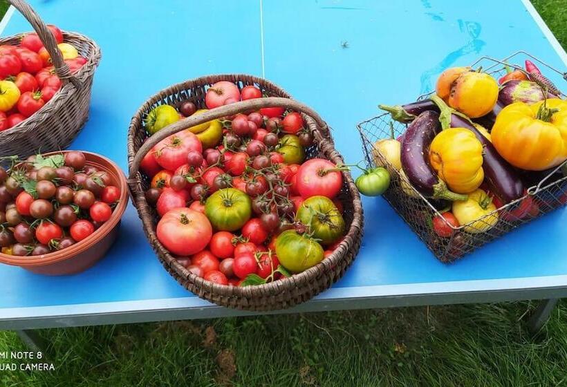 פנסיון La Ferme Du Tilleul