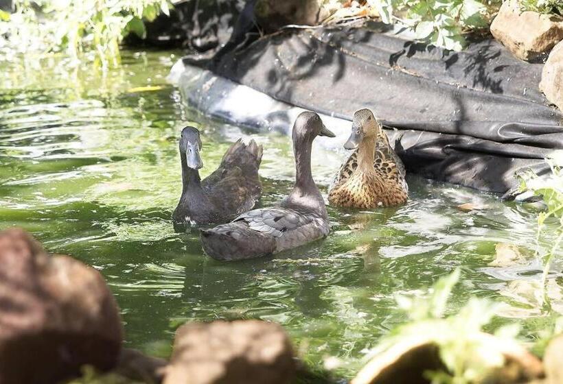 بنسيون La Ferme Du Tilleul