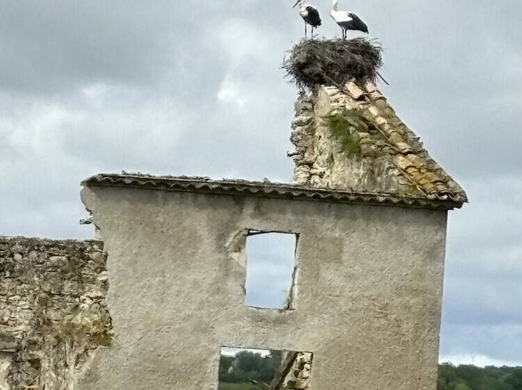 بنسيون Maison Jeroboam