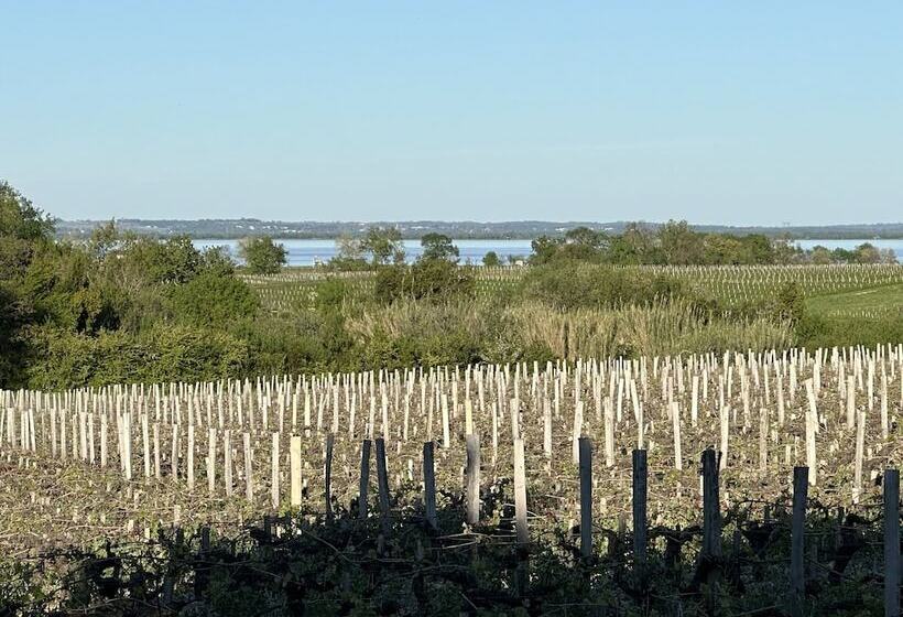 بنسيون Maison Jeroboam
