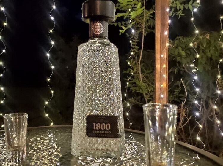 بنسيون Quinta Carlota