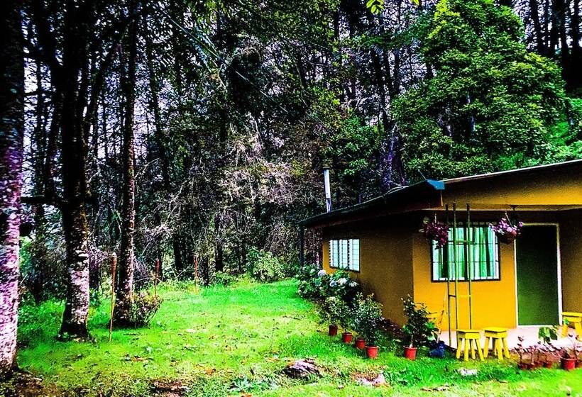 بنسيون River Nest Lodge Costa Rica