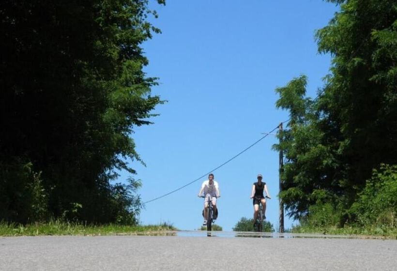 פנסיון Tiny House Ambar