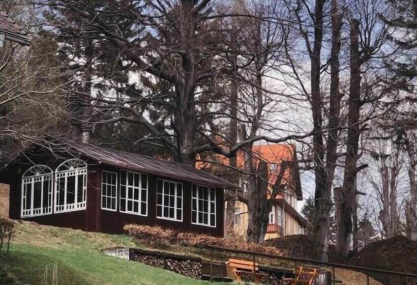 پانسیون Willa Dąbrówka