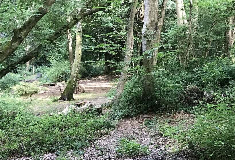 Private And Secluded Cabin In Rowfant