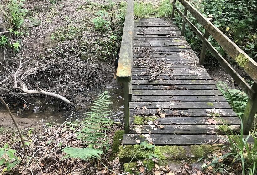 Private And Secluded Cabin In Rowfant