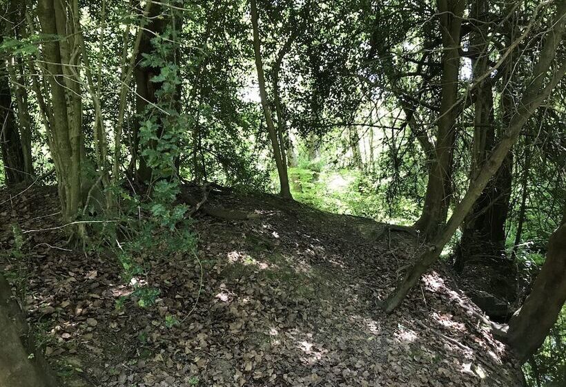 Private And Secluded Cabin In Rowfant