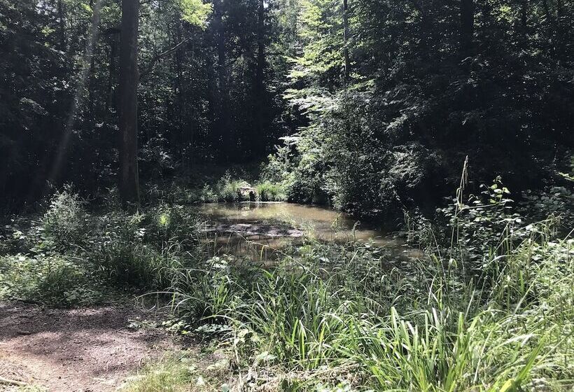 Private And Secluded Cabin In Rowfant