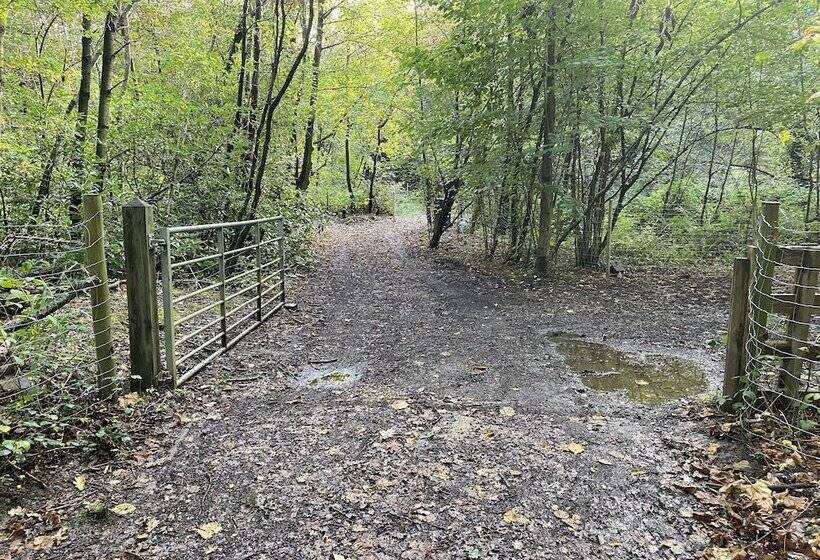 Private And Secluded Cabin In Rowfant