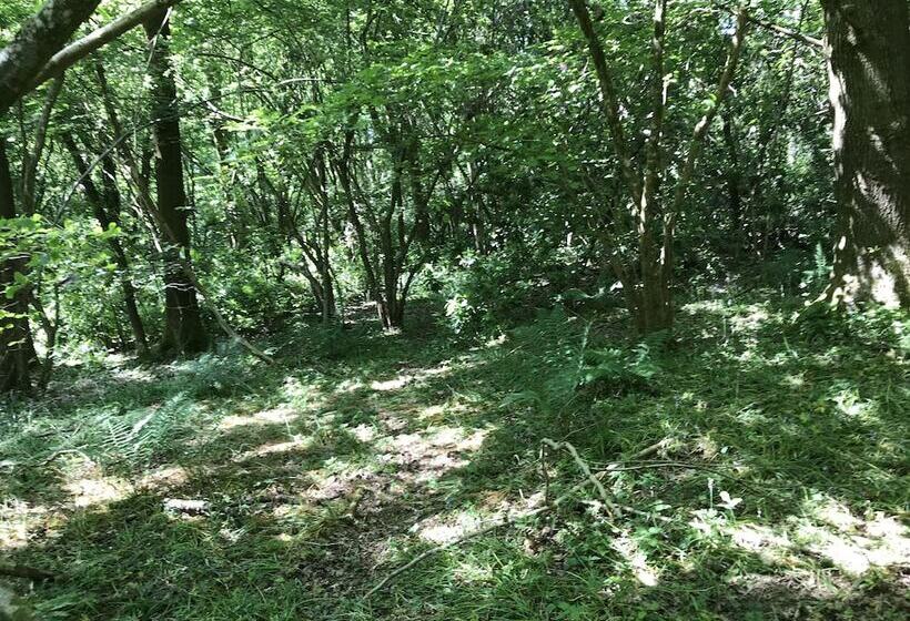 Private And Secluded Cabin In Rowfant