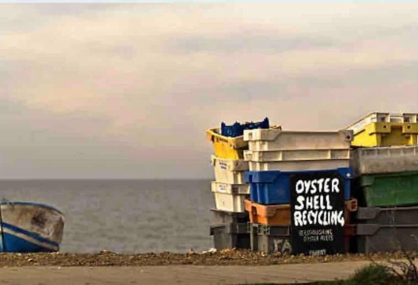 레지던스 Beautiful Cottage In Central Whitstable