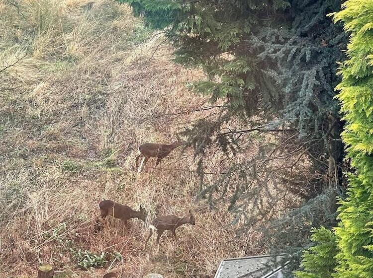 إقامة 4 Bed House In Wetherby, Sleeps 8, Near York