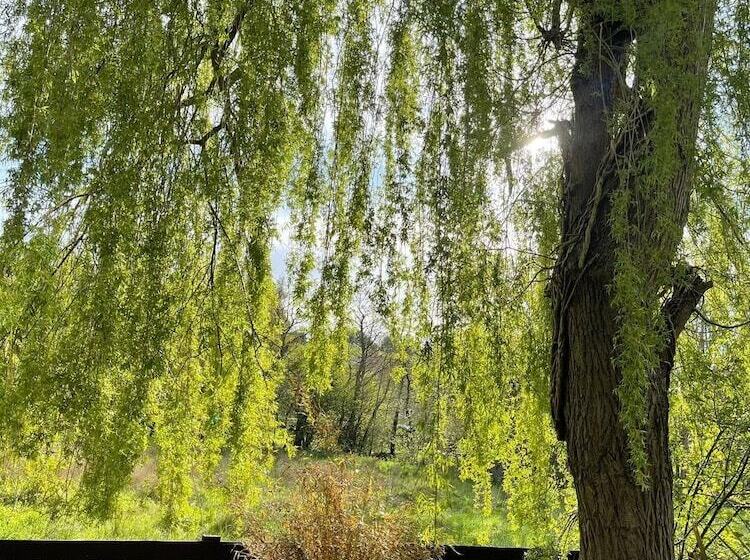 إقامة 4 Bed House In Wetherby, Sleeps 8, Near York