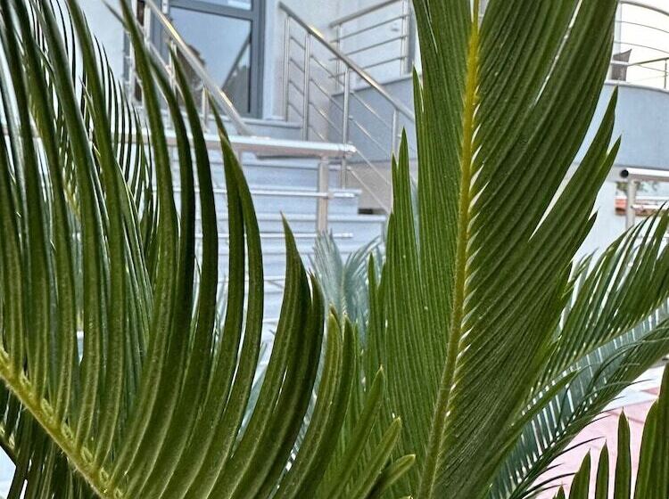 Sun Day Apartments Free Airport Transfer