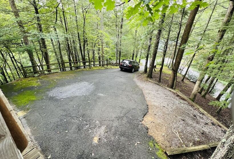 Three Bears Of Gatlinburg