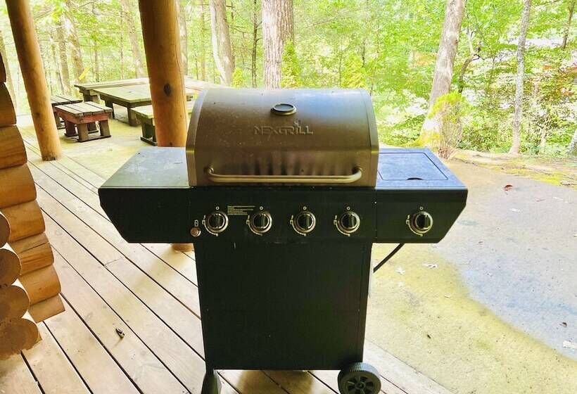 Three Bears Of Gatlinburg