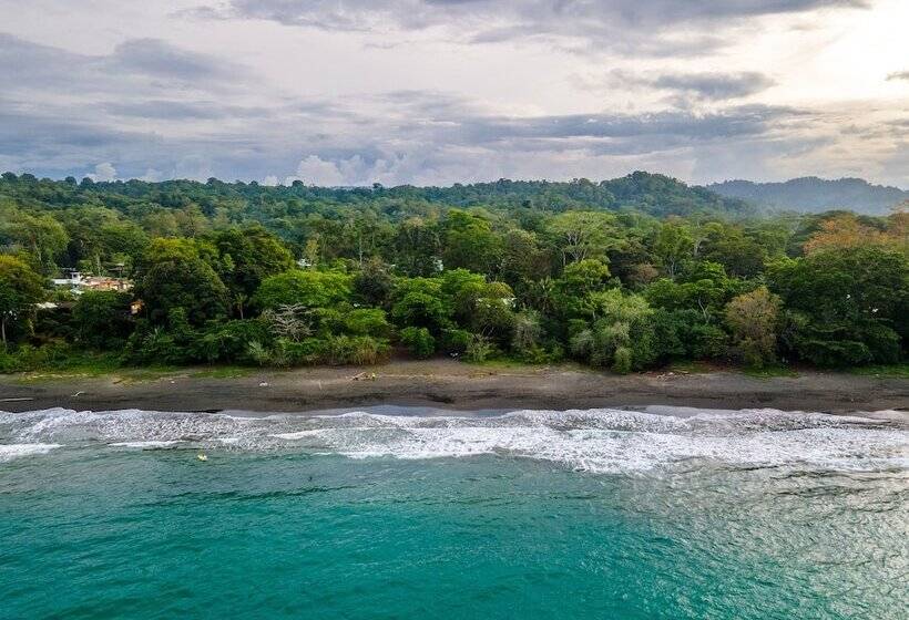 Villas Mapache Del Caribe